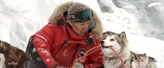 日本南极爱斯基摩狗_南极大冒险八只狗品种_哆啦a梦南极冒险百度云