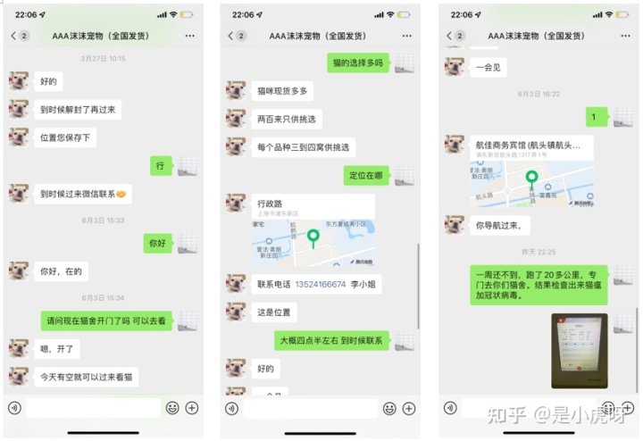 在宠物店买到病狗怎么维权_在宠物店买到病狗怎么维权_在宠物店买到病狗