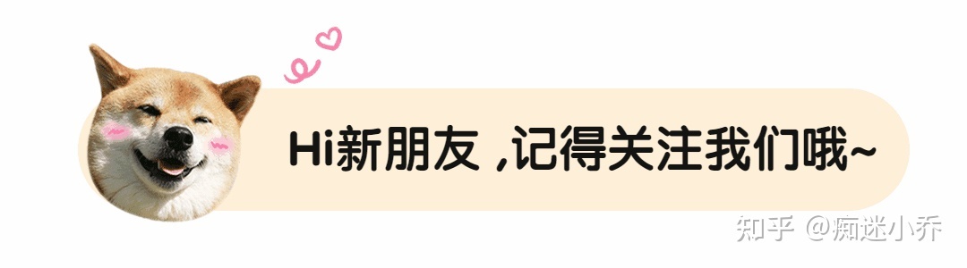 吉娃娃杂交狗_纯种狗和杂交狗配_纯种狗和杂交狗哪个贵