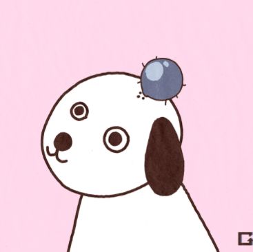 蜱虫狗密集动态图_家养狗蜱虫_狗身上的蜱虫