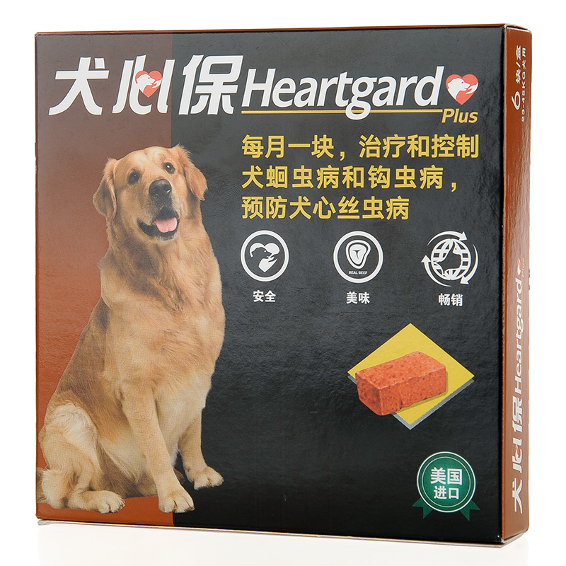 蜱虫狗密集动态图_狗身上的蜱虫_家养狗蜱虫