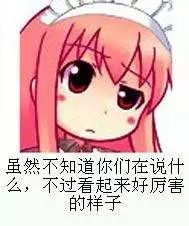 狗鼻子病_银狐狗鼻子_赵培军 狗鼻子