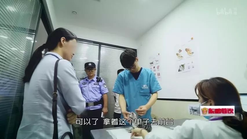 长沙太平街卖病狗_宠物店卖病狗_长沙太平街卖病狗