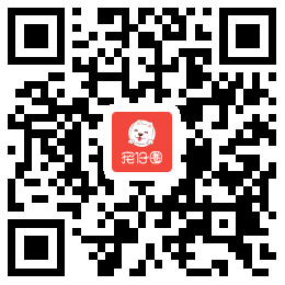 如何训练狗狗捡球_狗狗训练视频_如何训练狗狗使用狗狗厕所【图】