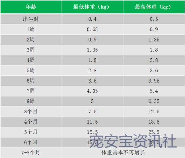 博美体重与月龄对照表图片