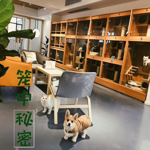 宠物店买病狗_宠物店 病狗_苏州宠物店里的狗有保障吗?会不会买到病狗?