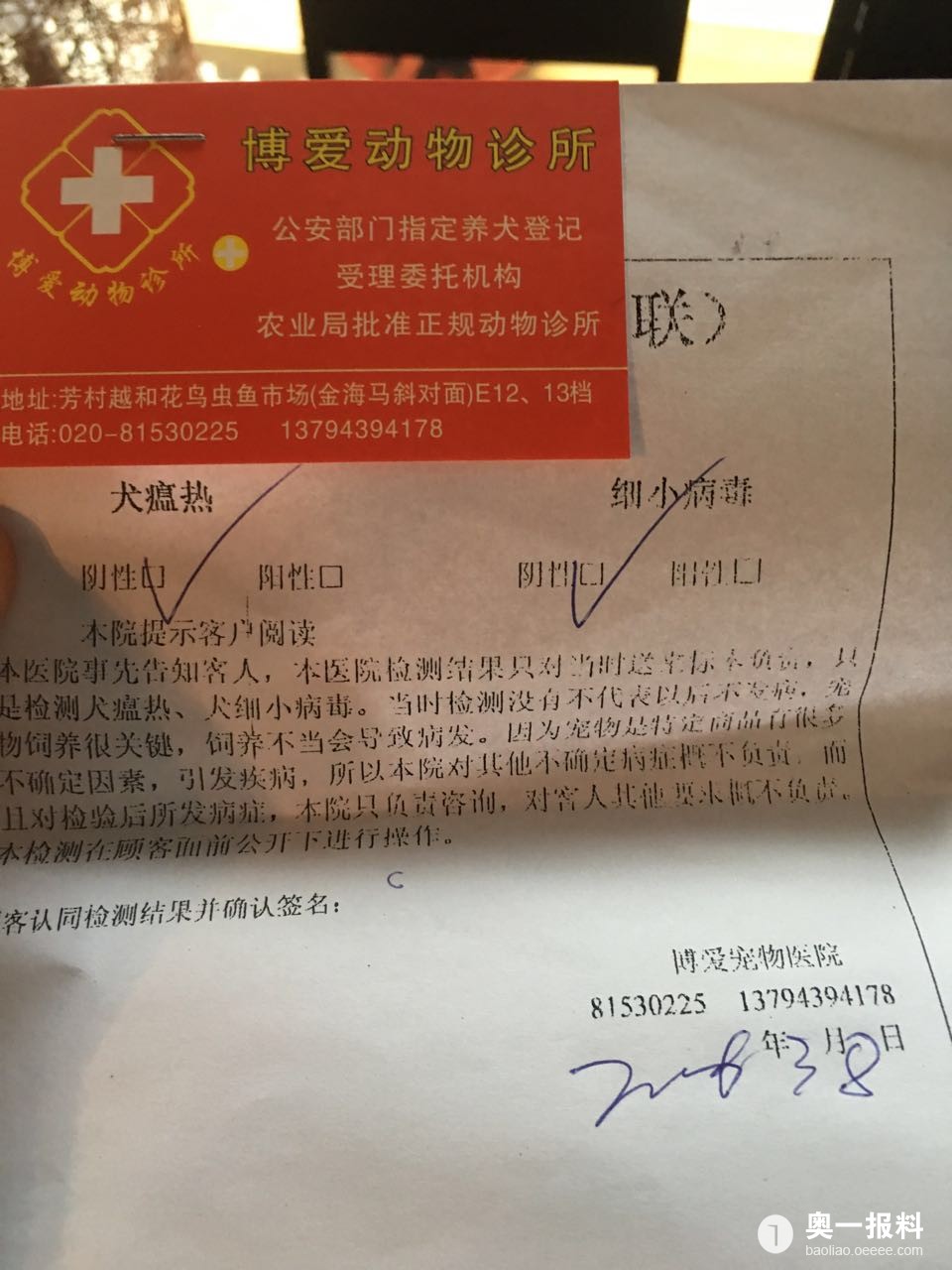 厦门宠物店卖病狗_宠物店买病狗_在宠物店买到病狗