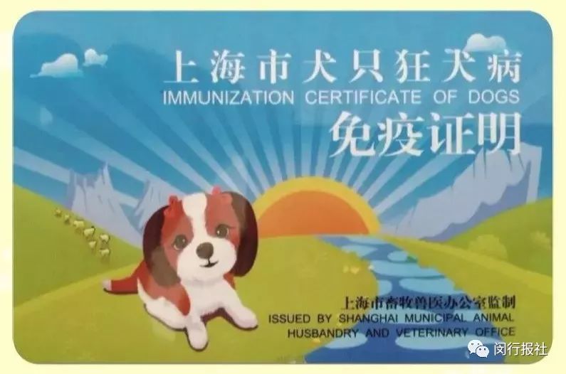 养什么狗最赚钱又好养_上海养狗条例_上海和养宝华养护院