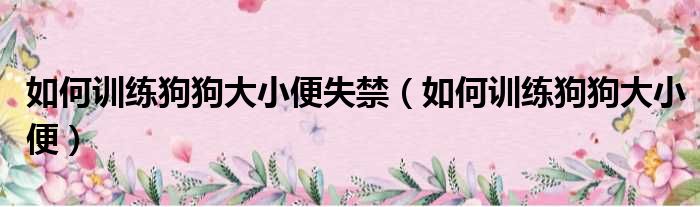 如何训练狗狗定点大小便_训练狗狗大小便要几天_狗狗多大训练定点排便