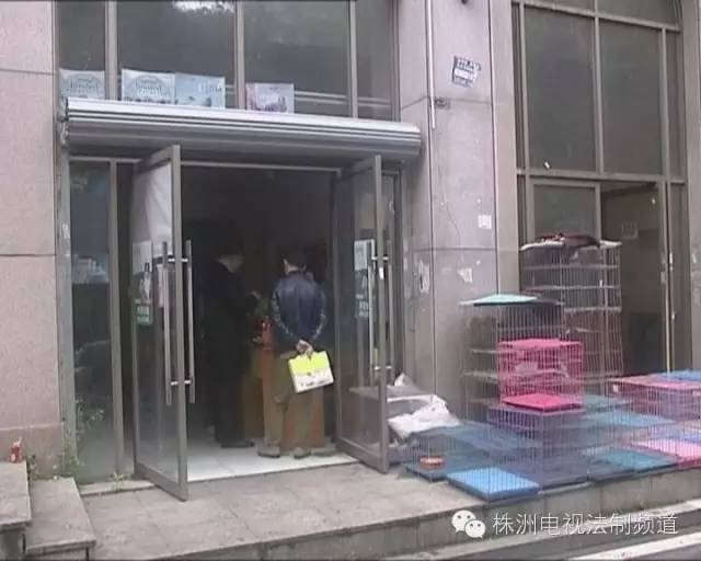 宠物店买到病狗_宠物店不洗病狗_宠物店买病狗