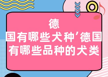 德国有哪些犬种，德国有哪些品种的犬类