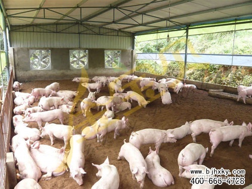 家庭养羊羊床设计_猪场自制猪槽图片大全_养猪场猪床设计