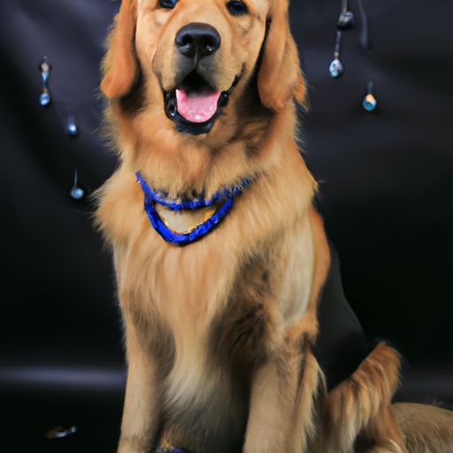 喜欢抢镜的宠物狗品种