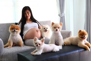 女孩怀孕养狗需要注意什么事项？