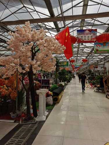 花鸟鱼虫市场在哪里石家庄？石家庄花鸟鱼虫市场恢复营业了吗？