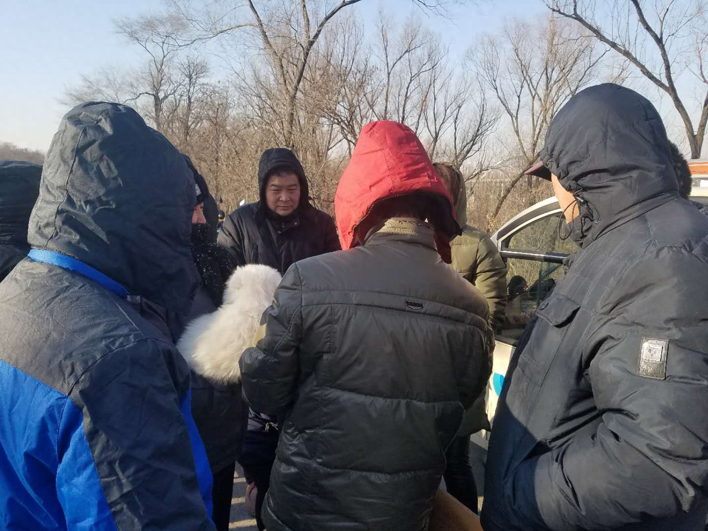 农村农户难赚钱，养品种狗拿来狗市场卖，哈士奇1000一只没人买