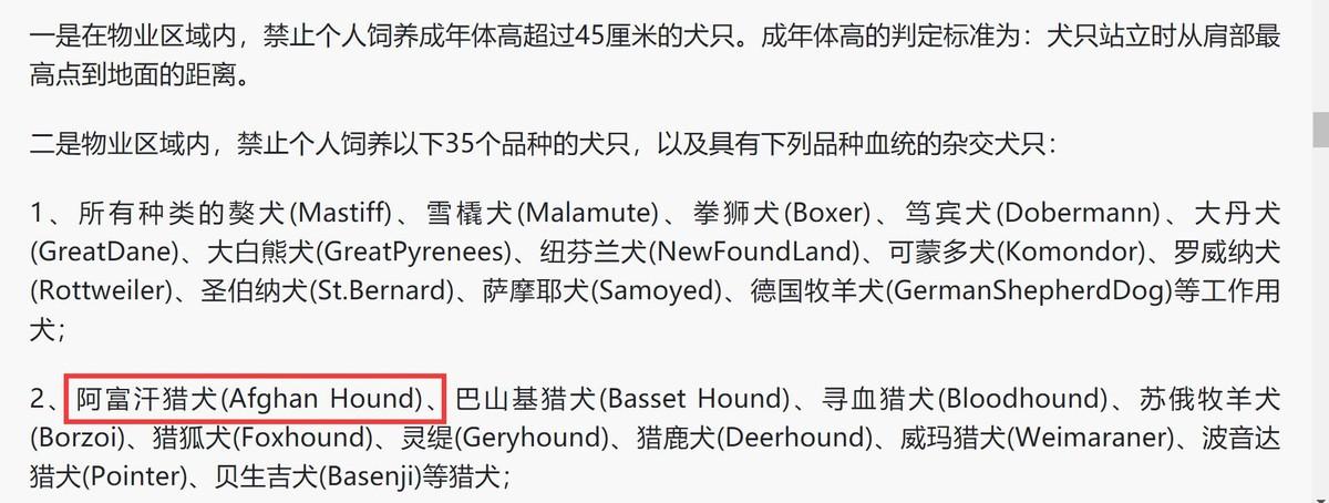 阿富汗猎犬钱币值钱吗_阿富汗猎犬钱一只_阿富汗猎犬多少钱
