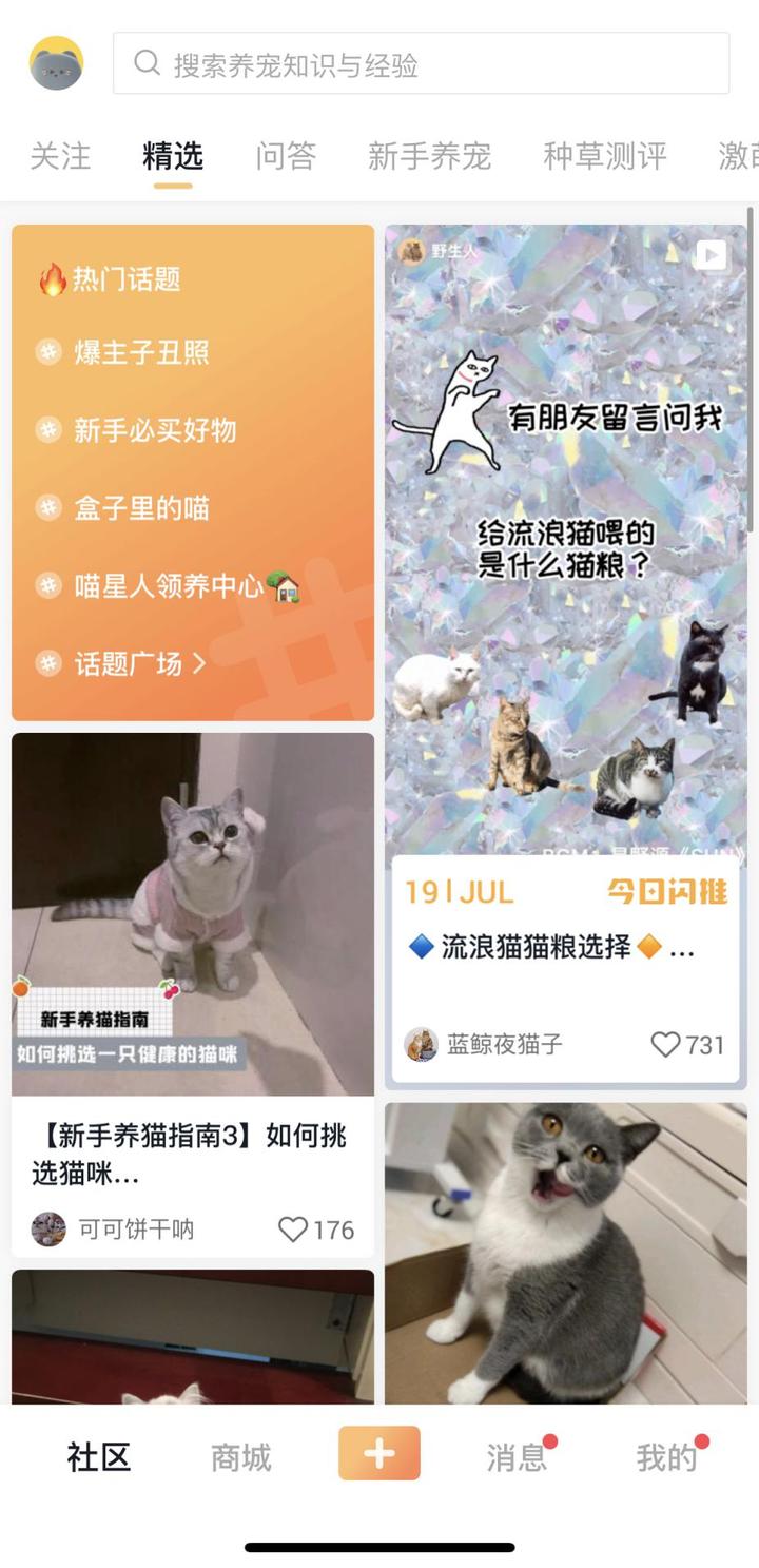 宠物网站交易市场_关于宠物的网站_petfinder宠物网站